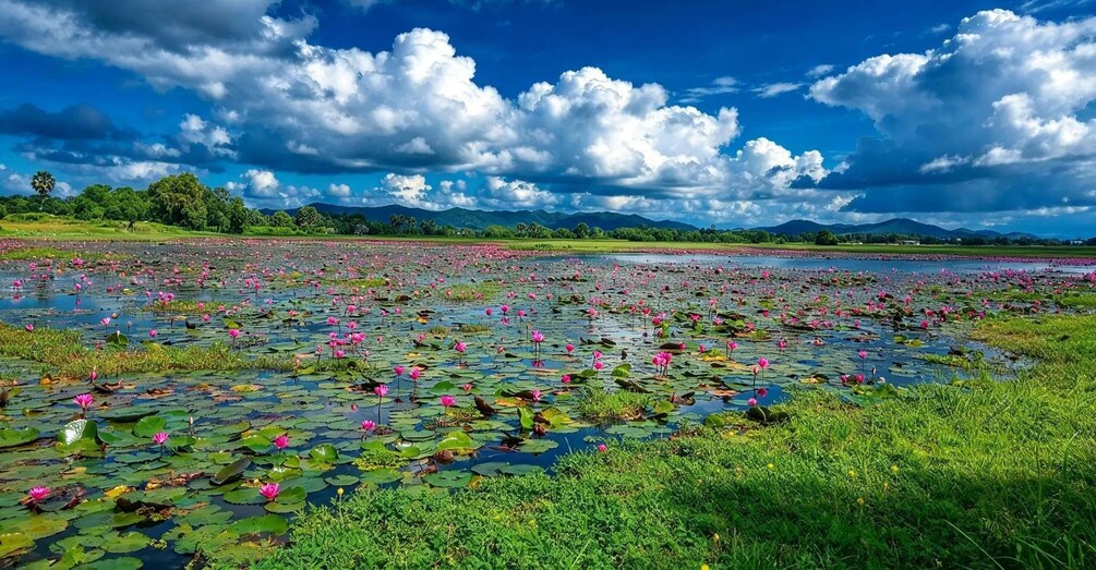 Picture 48 for Activity Kampot: Kampong Trach Authentic Day Trips 4