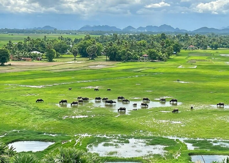 Picture 45 for Activity Kampot: Kampong Trach Authentic Day Trips 3