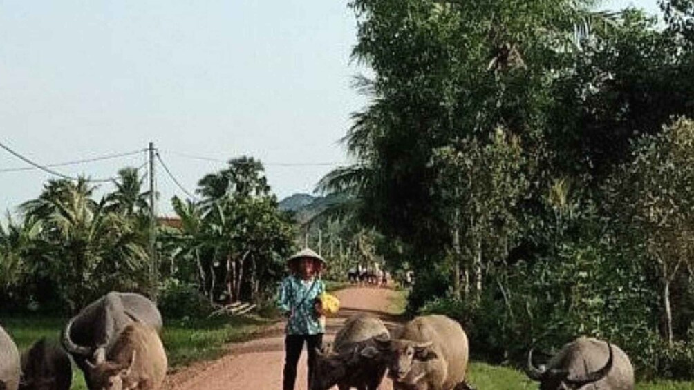 Picture 47 for Activity Kampot: Kampong Trach Authentic Day Trips 2