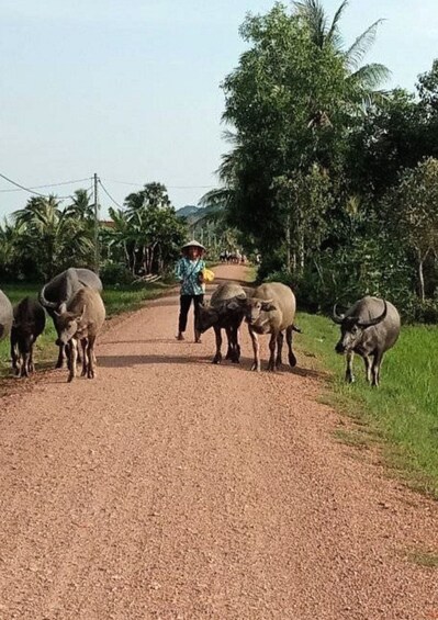 Picture 45 for Activity Kampot: Kampong Trach Authentic Day Trips 2