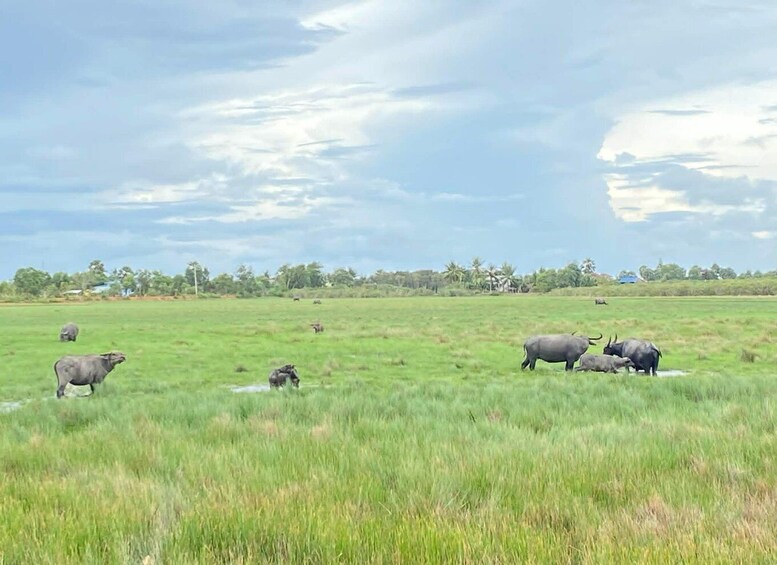 Picture 32 for Activity Kampot: Kampong Trach Authentic Day Trips 3