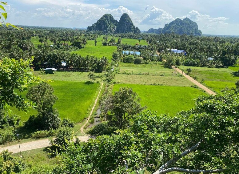 Un paisaje exuberante y verde con un sendero de tierra, palmeras y montañas kársticas distantes bajo un cielo parcialmente nublado. 3