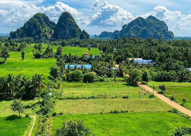 Un paisaje verde y exuberante con palmeras, un sendero de tierra y montañas distantes bajo un cielo parcialmente nublado. 1