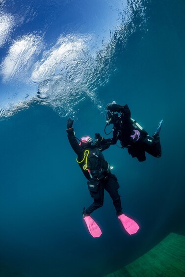 Two scuba divers underwater with pink fins and black wetsuits. 5