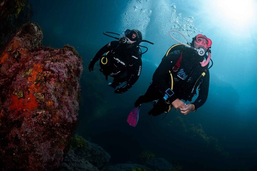 Two scuba divers with fins and tanks swimming near a coral reef. 2