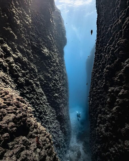 A diver exploring a narrow underwater canyon with steep rock walls. 4
