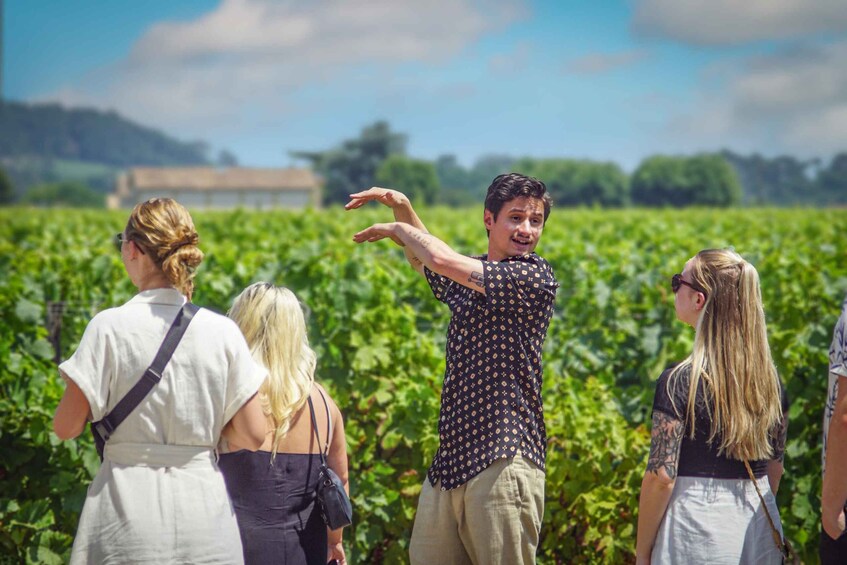 A group of people in a vineyard. 4