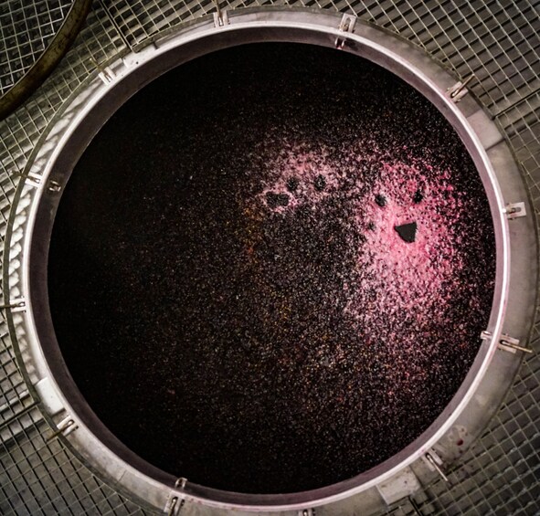 A circular structure with a dark interior and pinkish particles on the surface. 2