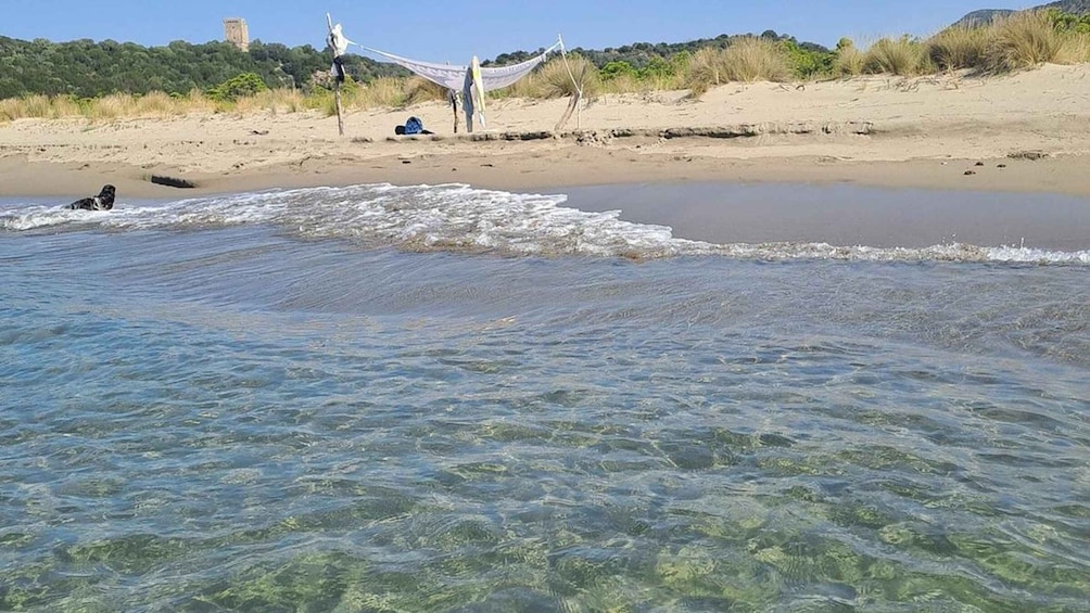 A beach with clear water, a dog near the shore, and a person with a hammock in the background. 2