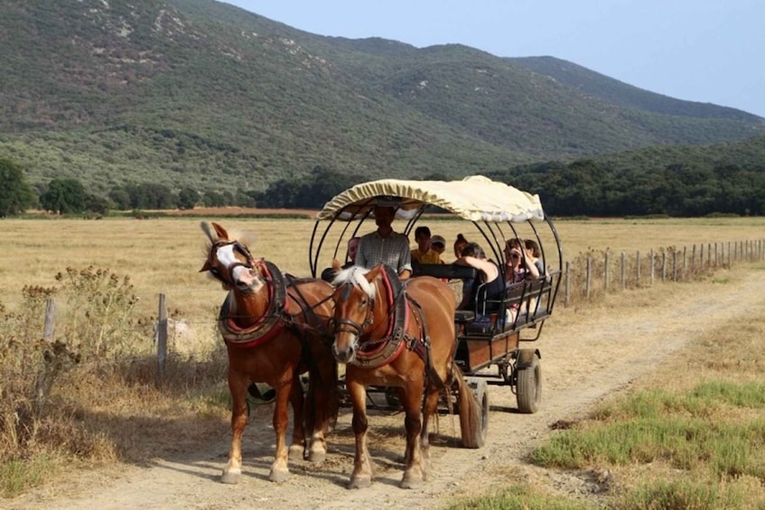 A horse-drawn carriage on a dirt road with passengers, surrounded by open fields and mountains. 1