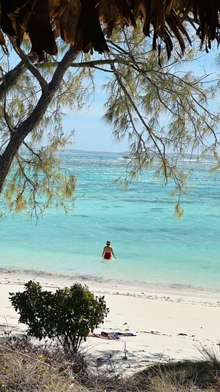 A beach with clear turquoise water, a person in a red swimsuit, and a tree with hanging branches. 1