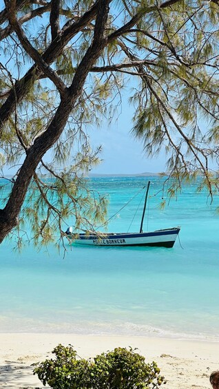 A boat named 'PORT DE BONHEUR' anchored near a beach with clear turquoise water and a tree with hanging branches. 2