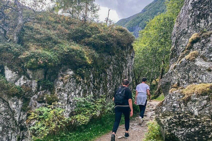 Bergen: Tour National Park Folgafonna and Glacier Lake 3
