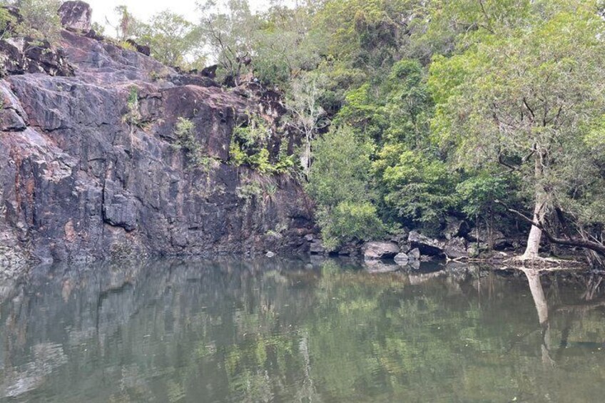 A rocky riverbank with dense foliage and a calm water body. 4