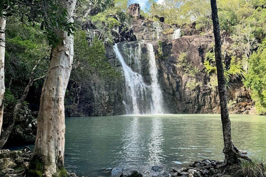 A waterfall cascading into a calm lake surrounded by trees. 5