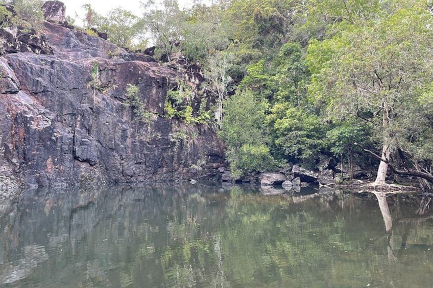 A rocky riverbank with dense foliage and a calm water body. 3