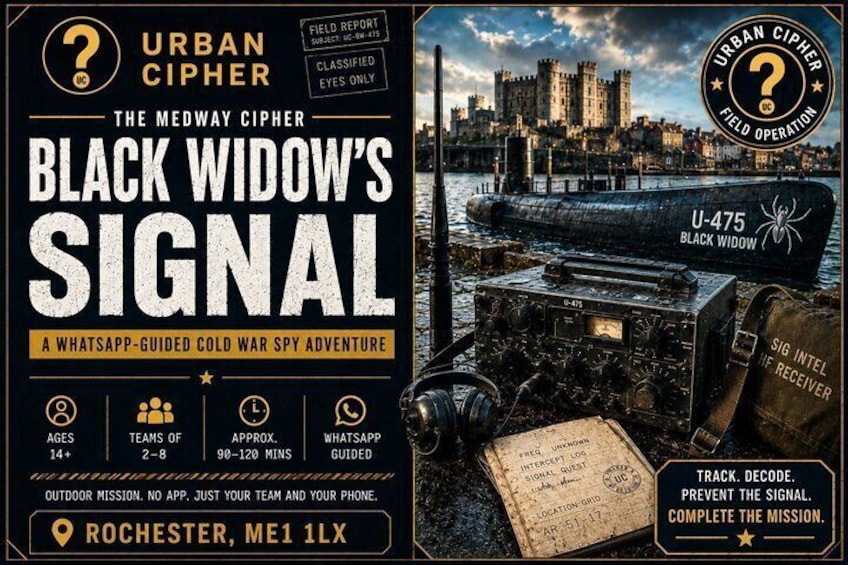 Black Widows Signal Interactive Outdoor Puzzle 1