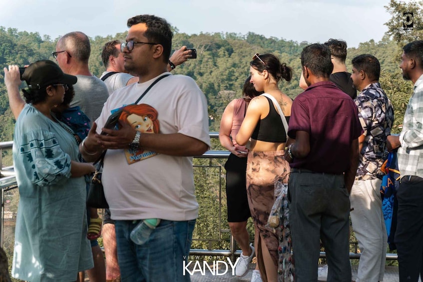 Un grupo de personas en un balcón con vista a una ladera boscosa. 1