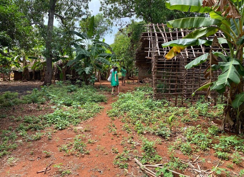 A dirt path in a tropical garden with banana trees and a bamboo structure. 5