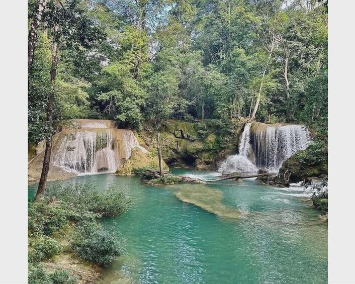 A waterfall in a forested area with clear water and surrounding greenery. 1