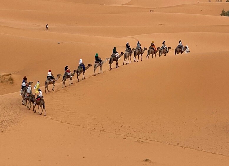 A group of people riding camels across a desert landscape. 4