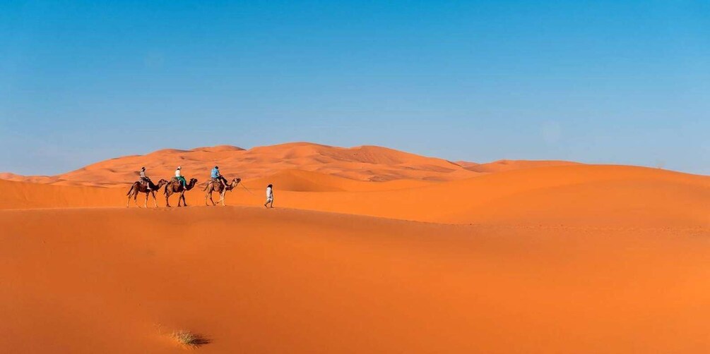 A desert landscape with sand dunes and camels. 5