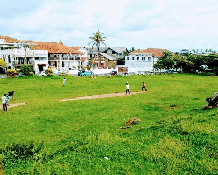 A grassy field with people playing cricket, houses in the background, and a palm tree. 4