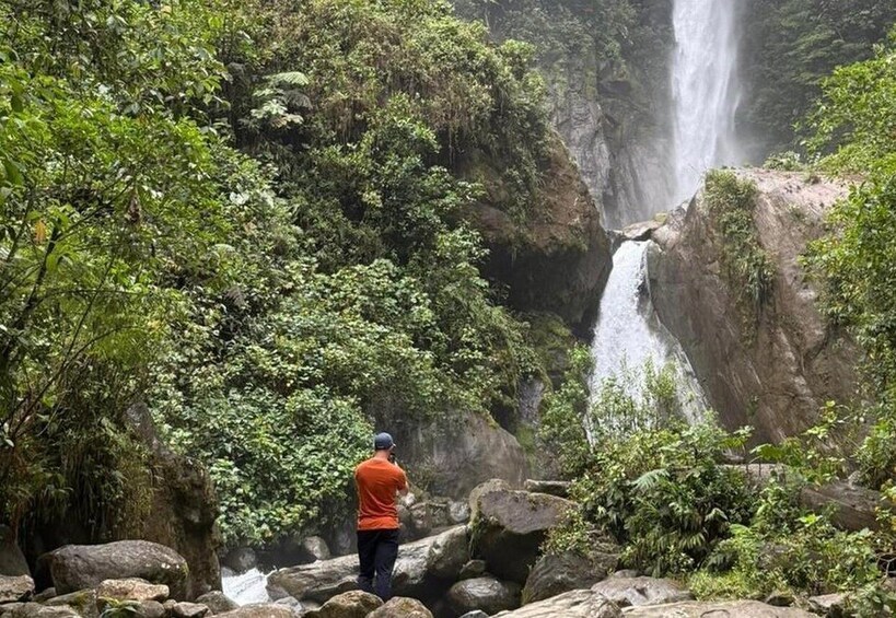 A waterfall surrounded by dense forest. 2