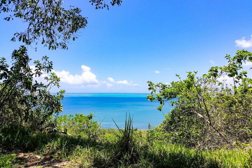A coastal landscape with dense greenery and a clear blue sea. 3