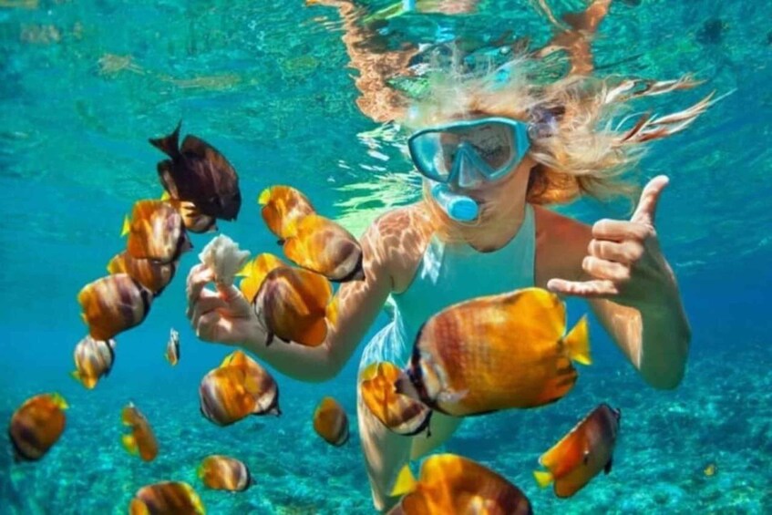 A person underwater surrounded by tropical fish. 2