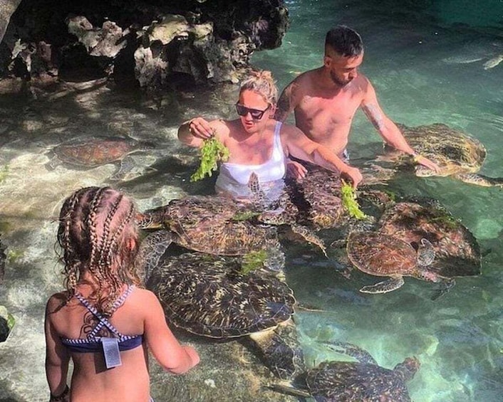 People interacting with sea turtles in shallow water. 5