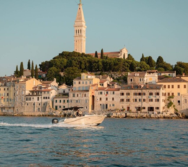 Picture 10 for Activity Rovinj: Sunset Dolphin Tour 3
