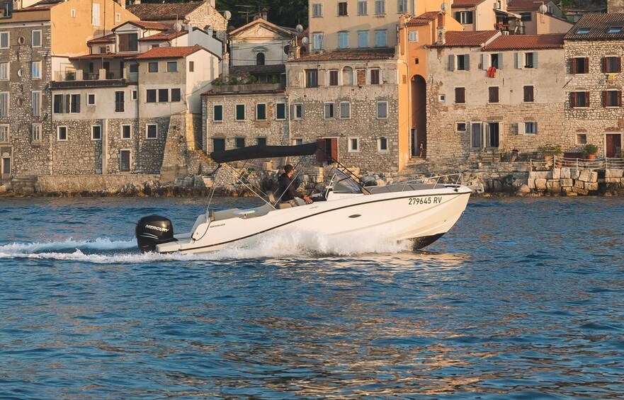 Picture 9 for Activity Rovinj: Sunset Dolphin Tour 2