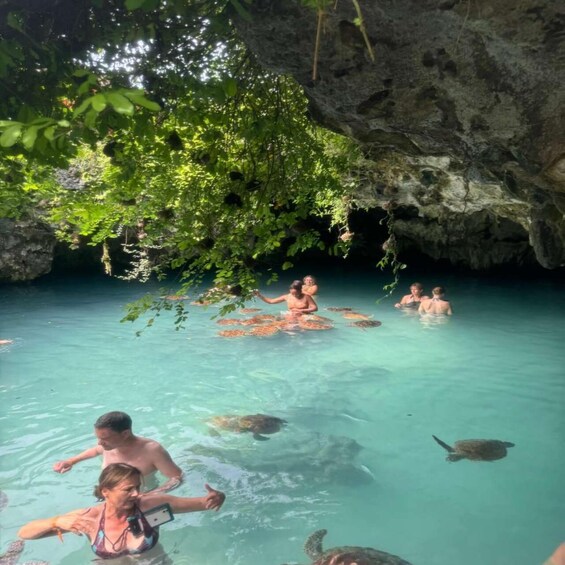 People swimming with sea turtles in a clear blue water area surrounded by rocks and greenery. 2