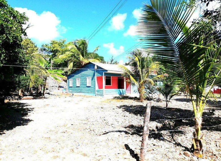 Picture 14 for Activity Boca de Yuma Tour - Dominican Cultural Immersion 3