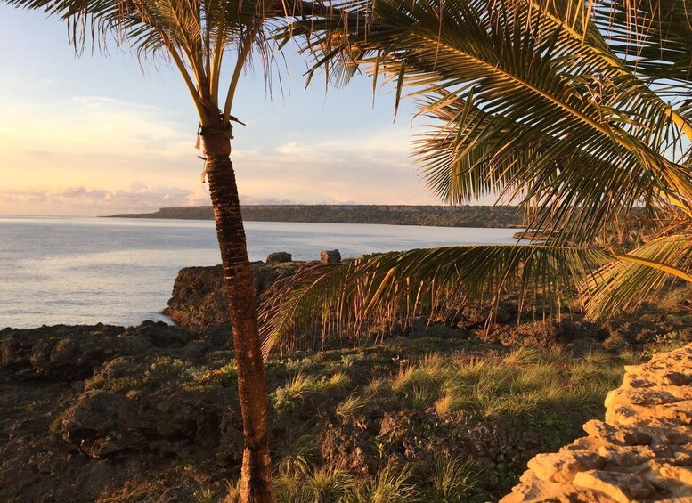 Picture 8 for Activity Boca de Yuma Tour - Dominican Cultural Immersion 2