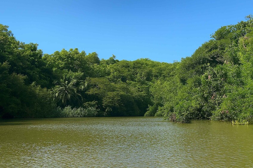 Picture 5 for Activity Boca de Yuma Tour - Dominican Cultural Immersion 5