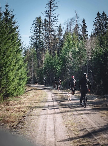 A group of cyclists and a dog on a dirt trail in a forested area. 3