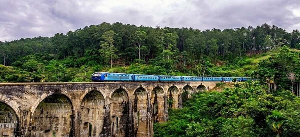 A blue train on a stone bridge with arches, surrounded by dense green forest. 1