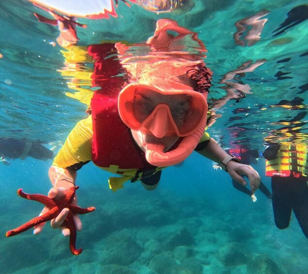 Fuerteventura: Las Playitas Snorkeling Tour with Boat Ride 1