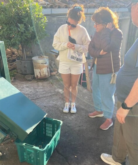 Picture 3 for Activity Bronte: PDO pistachio grove tour with local outdoor food tasting 3