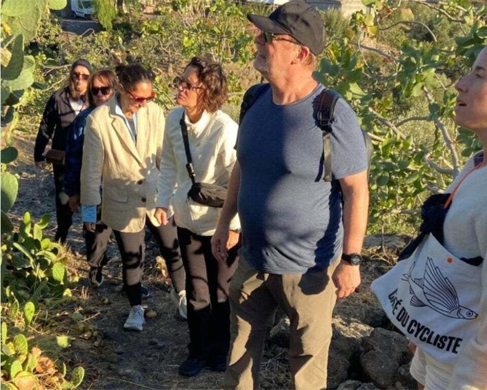 Picture 1 for Activity Bronte: PDO pistachio grove tour with local outdoor food tasting 2