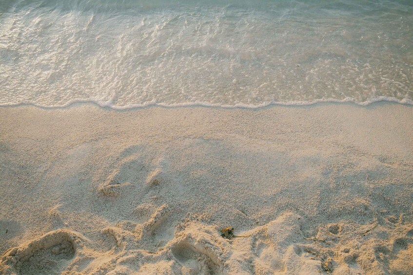 A sandy beach with gentle waves and footprints in the sand. 3