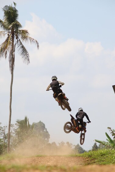 Two motorcyclists performing a jump over a dirt path with palm trees in the background. 4