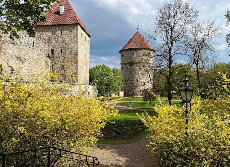 A historic stone castle with a red-tiled roof, a round tower, and a pathway leading to it. 4