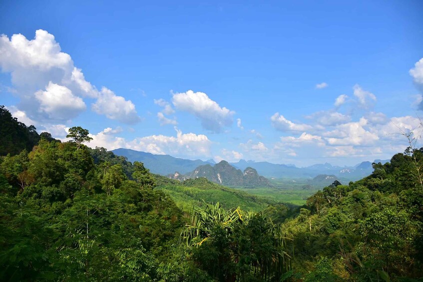 A lush green valley with mountains in the background and a clear blue sky. 3