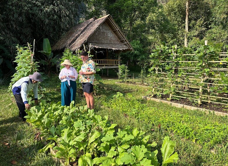 A garden with a thatched-roof structure, lush greenery, and a trellis with climbing plants. 1