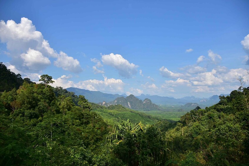 A lush green valley with mountains in the background and a clear blue sky. 5