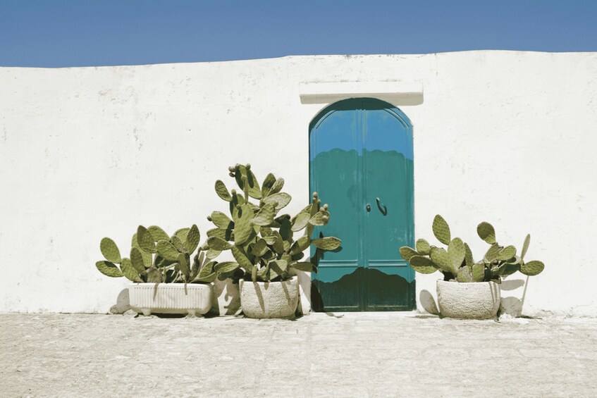 Picture 11 for Activity Between Villages and Waves: Polignano by boat, Monopoli & Ostuni walking tour 2