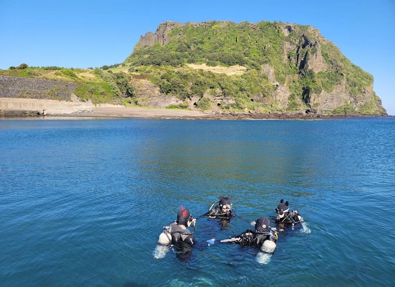 Four scuba divers in the ocean with a rocky island in the background. 3